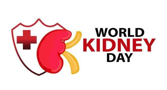 世界腎病日 北京佑安醫(yī)院健康咨詢活動與軟件開發(fā)在醫(yī)療中的創(chuàng)新應(yīng)用